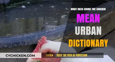 Unraveling the Meaning of 'Choke the Chicken' in Urban Dictionary