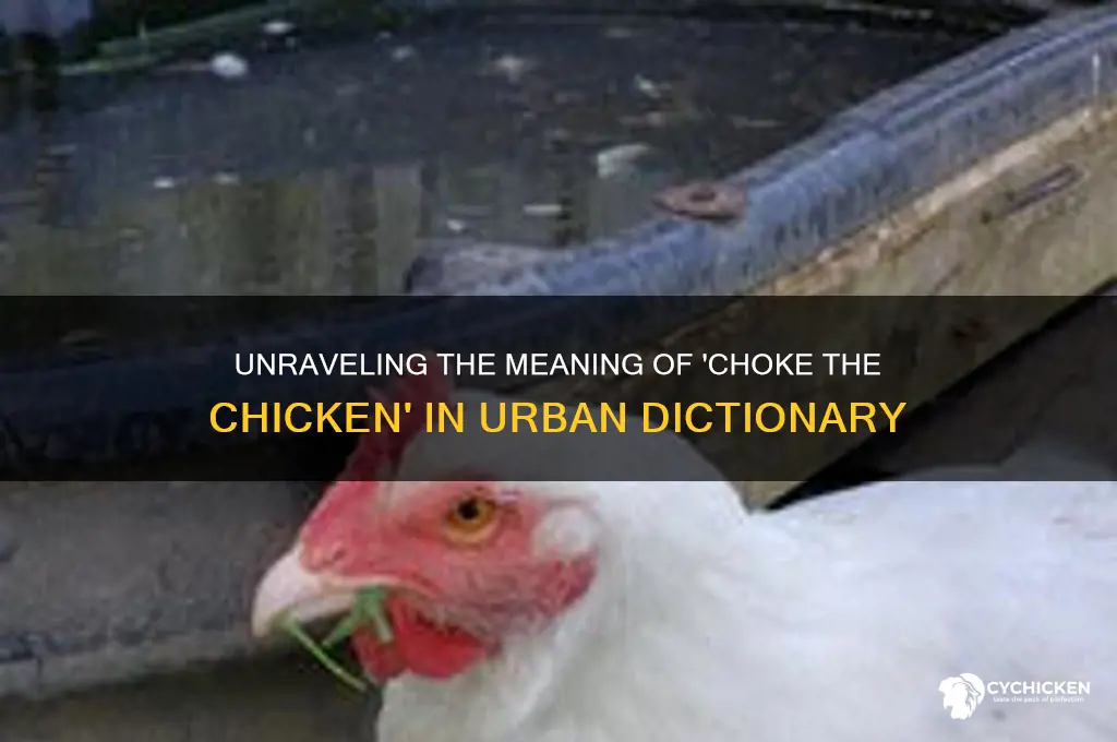what does choke the chicken mean urban dictionary
