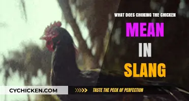 What Does 'Choking the Chicken' Mean? Uncovering the Slang Term