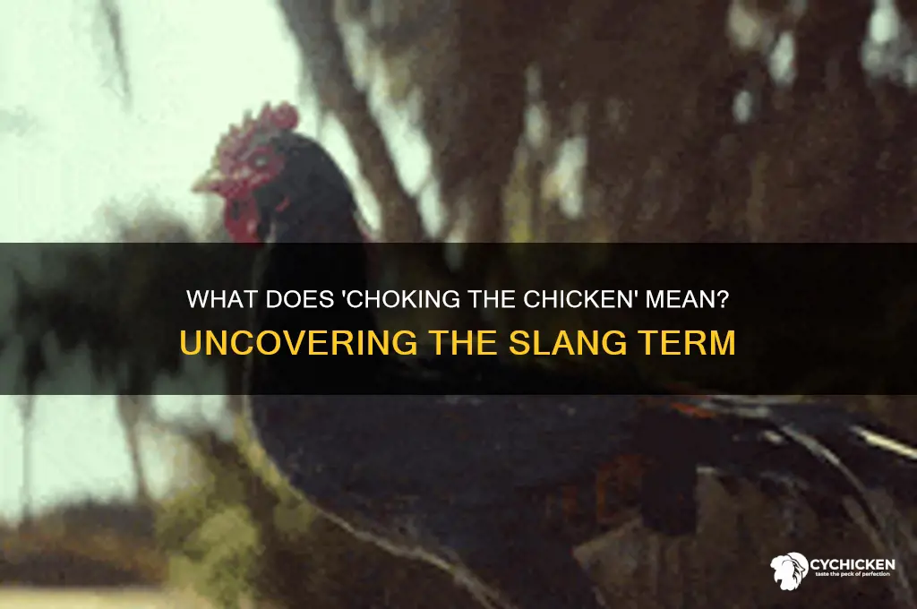 what does choking the chicken mean in slang
