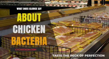 Clorox's Take on Chicken Bacteria: Safety Tips and Facts