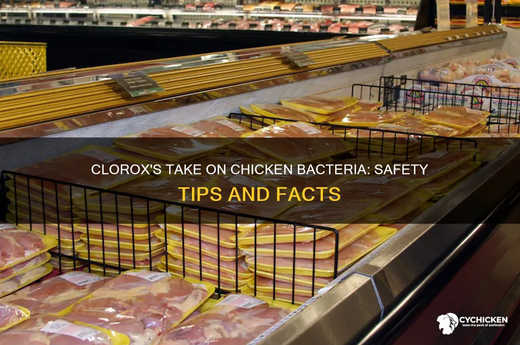 what does clorox say about chicken bacteria