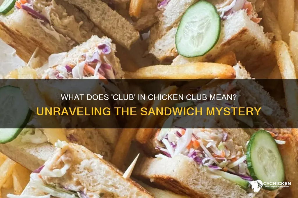 what does club in chicken club mean