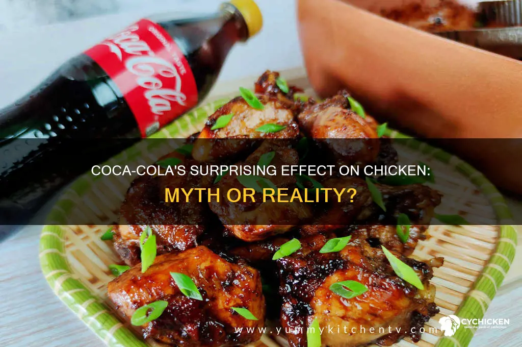 what does coca cola do to chicken