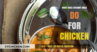 Coconut Milk Magic: Elevating Chicken Dishes with Creamy Flavor