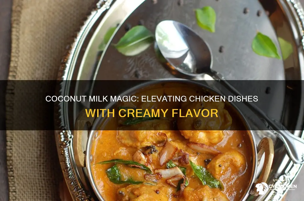 what does coconut milk do for chicken