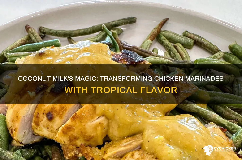 what does coconut milk do to chicken marinade