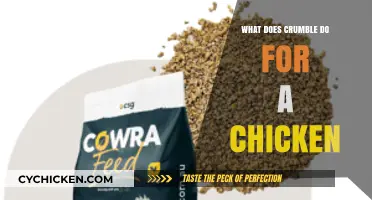 How Crumble Enhances Chicken Health, Growth, and Egg Production