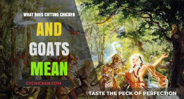 Understanding the Cultural Significance of Cutting Chicken and Goats in Traditions