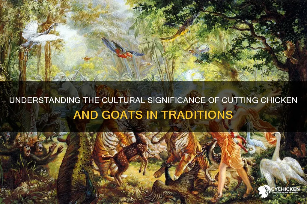 what does cutting chicken and goats mean