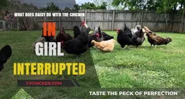 Daisy's Chicken: A Symbolic Act in Girl, Interrupted