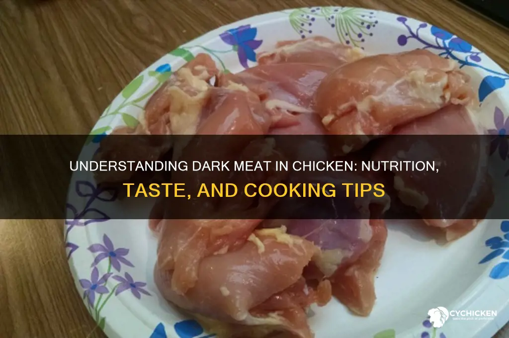what does dark meat mean in chicken