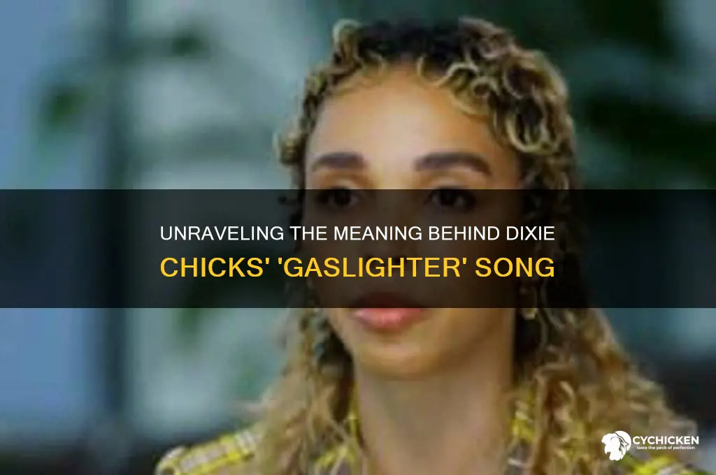 what does dixie chicks gaslighter song mean
