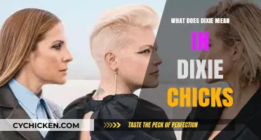 Unraveling the Meaning Behind 'Dixie' in Dixie Chicks' Name