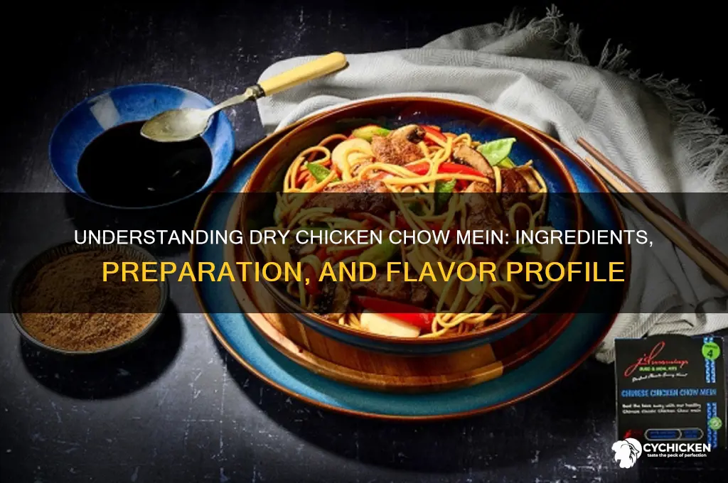 what does dry chicken chow mein mean