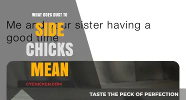 Understanding the Phrase 'Dust to Side Chicks': Origins and Cultural Impact