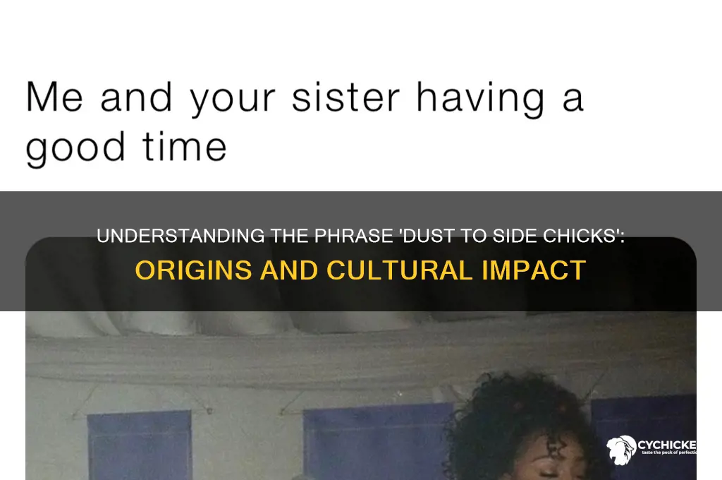 what does dust to side chicks mean