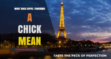 Eiffel Towering a Chick: Decoding the Meaning and Origins of the Term