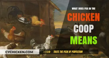 Unveiling the Meaning Behind 'Fox in the Chicken Coop
