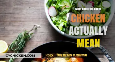 Understanding Free Range Chicken: What It Really Means for Poultry Farming
