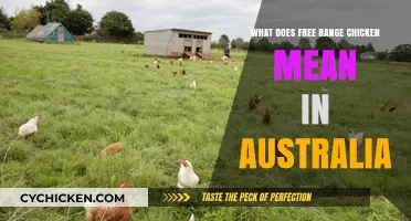 Understanding Free Range Chicken Standards and Practices in Australia