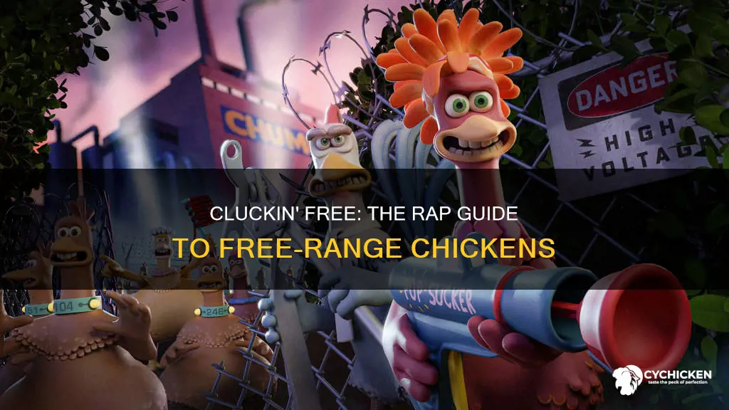 what does free range chicken mean in rap terms