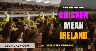 Understanding Free Range Chicken Standards and Practices in Ireland