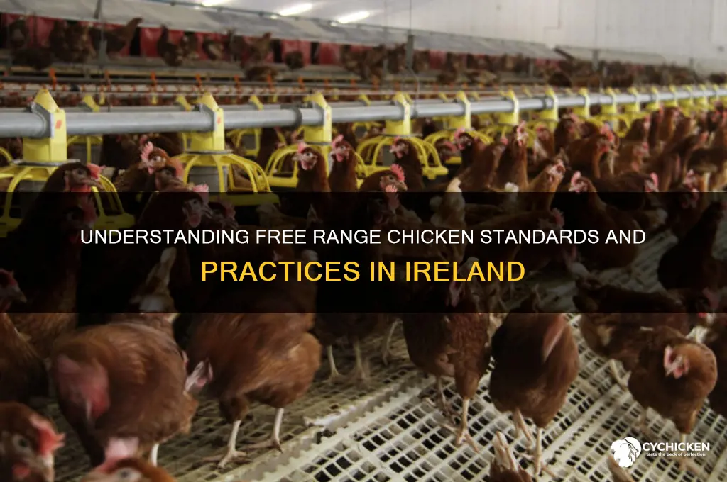 what does free range chicken mean ireland