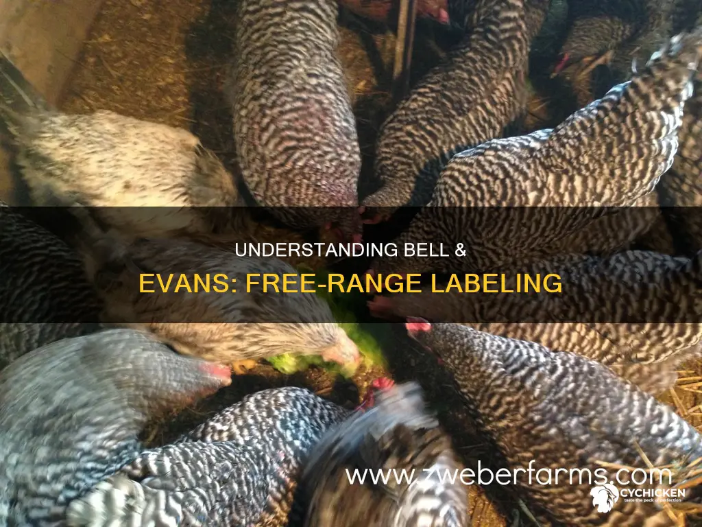 what does free range mean on bell & evans chicken