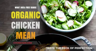 Understanding Free Range Organic Chicken: Benefits, Standards, and Labeling