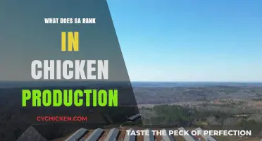Georgia's Rank in Chicken Production: A Comprehensive Analysis