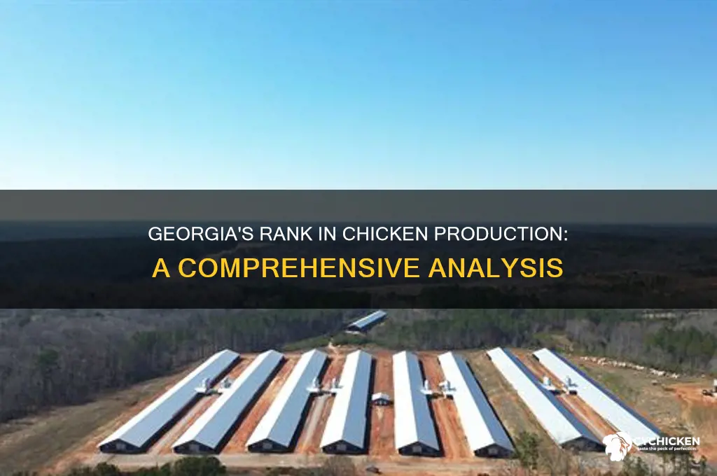what does ga rank in chicken production