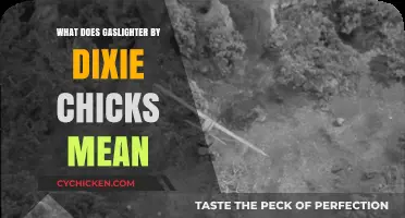 Understanding the Meaning Behind 'Gaslighter' by Dixie Chicks