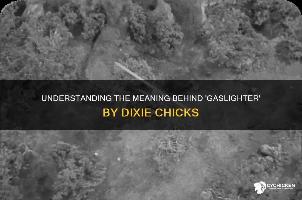 what does gaslighter by dixie chicks mean
