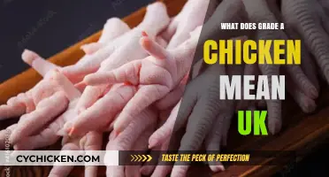 Understanding Grade A Chicken in the UK: Quality and Standards Explained