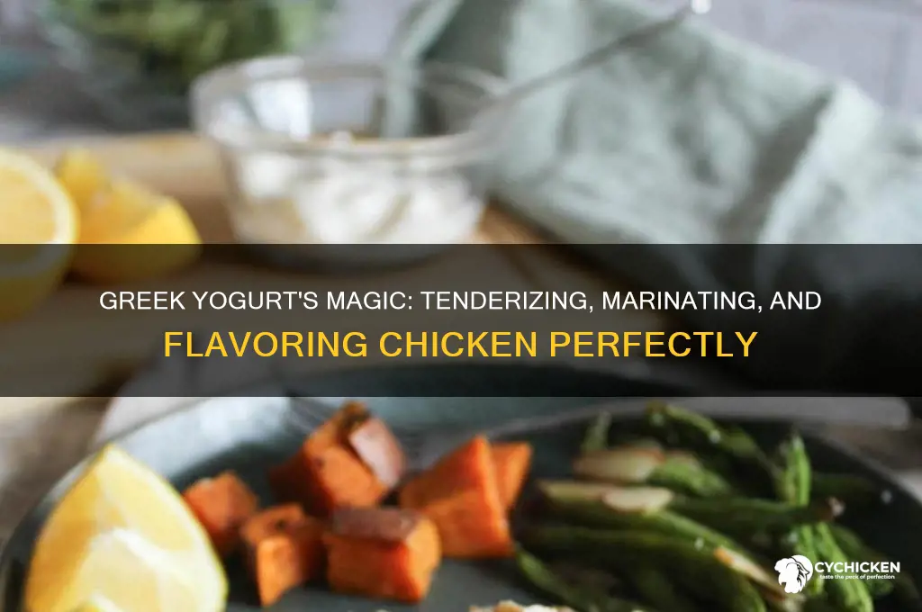 what does greek yogurt do for chicken