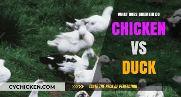 Gremlin's Poultry Choice: Chicken or Duck? A Tasty Comparison