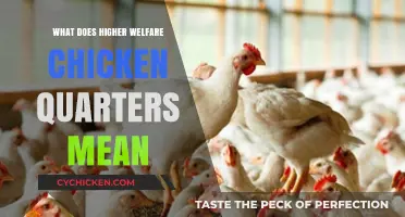 Understanding Higher Welfare Chicken Quarters: Benefits, Standards, and Ethical Choices