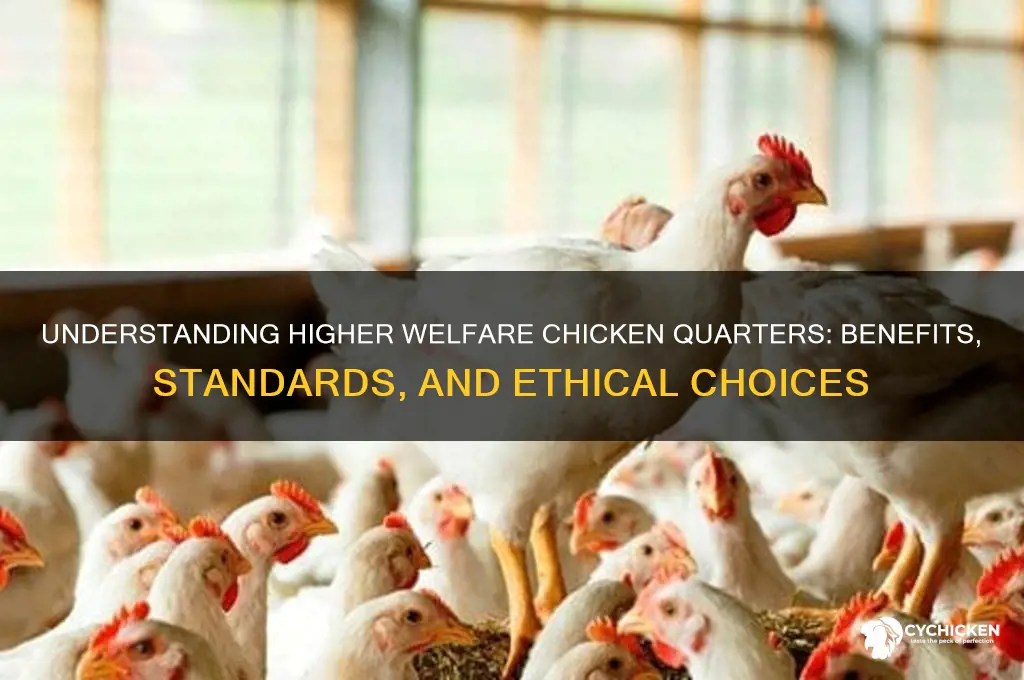 what does higher welfare chicken quarters mean