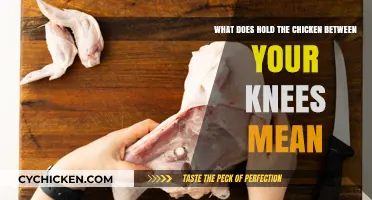 The Chicken Challenge: Balancing Act Between Your Knees
