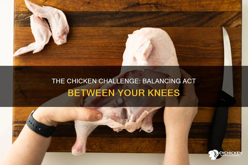 what does hold the chicken between your knees mean