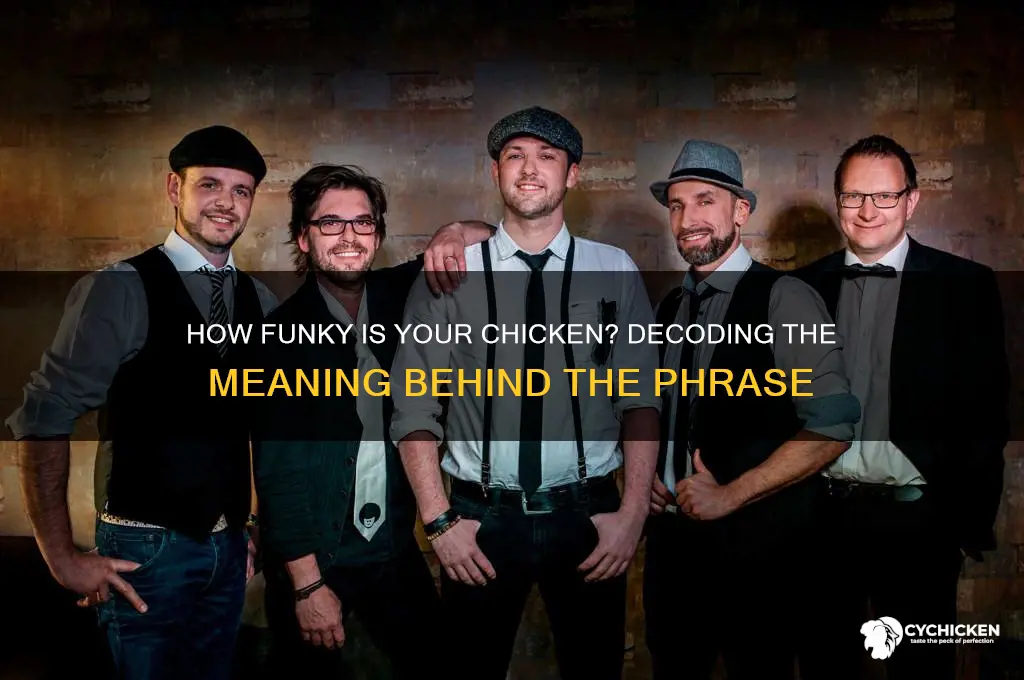what does how funky is your chicken mean
