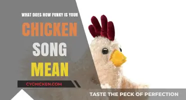 The Funky Chicken Song: Understanding the Lyrics