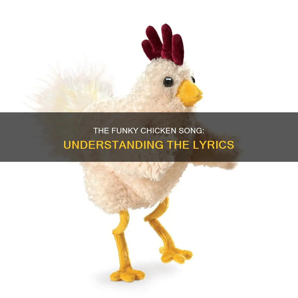 what does how funky is your chicken song mean