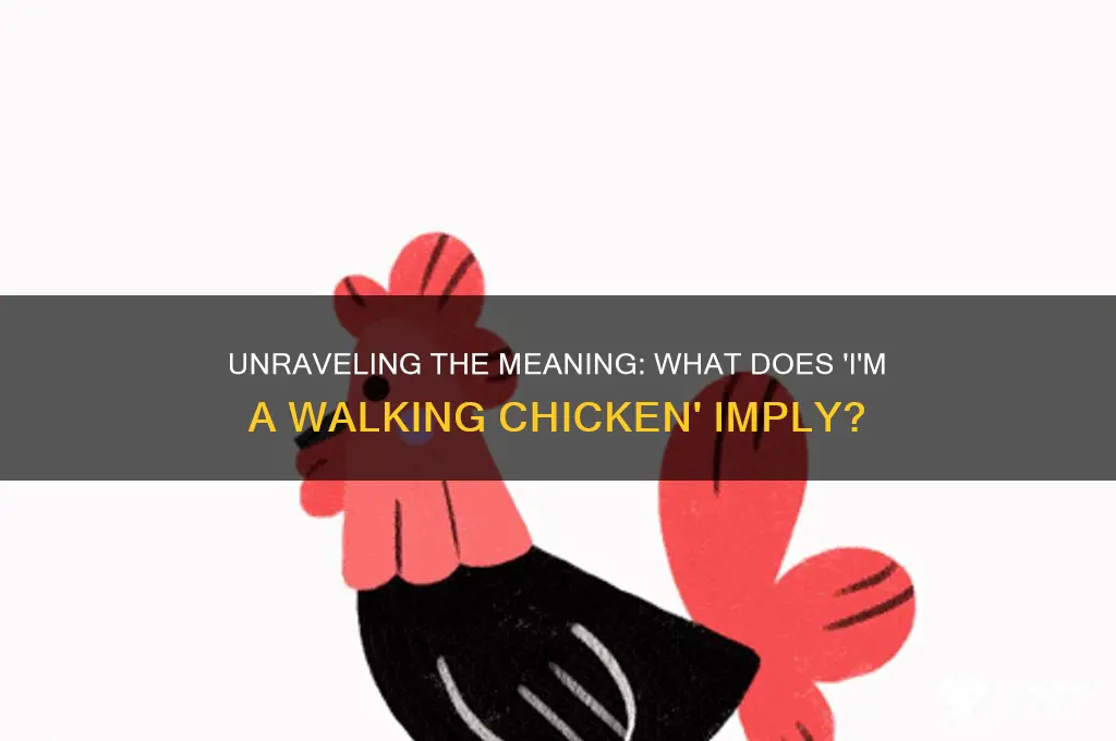 what does im a walking chicken mean