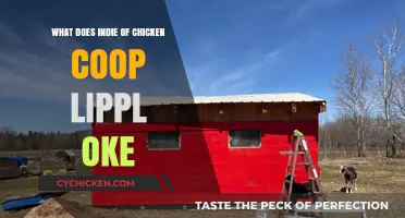 Exploring the Quirky World of Chicken Coop Lipstick Indie
