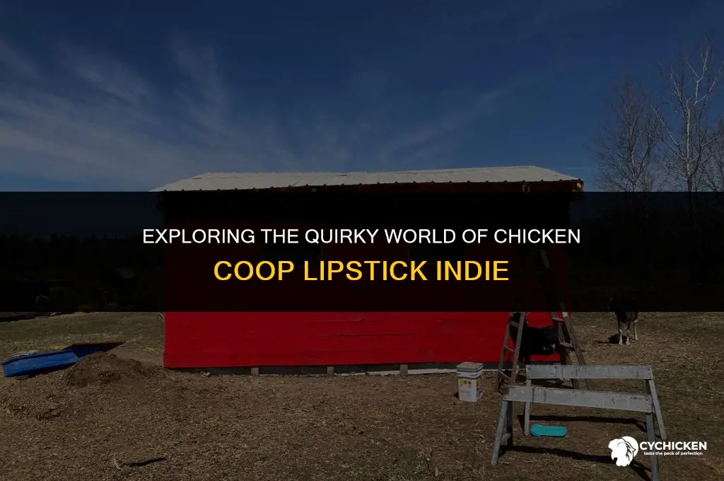 what does indie of chicken coop lippl oke