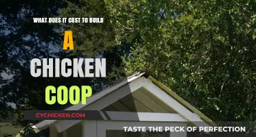 Building a Budget-Friendly Chicken Coop: Costs and Considerations