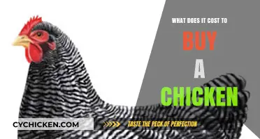 Understanding the Real Cost of Buying a Chicken: A Comprehensive Guide