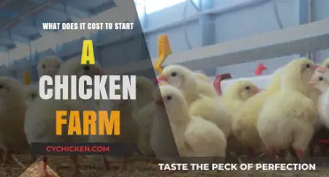 Starting a Chicken Farm: What's the Cost?